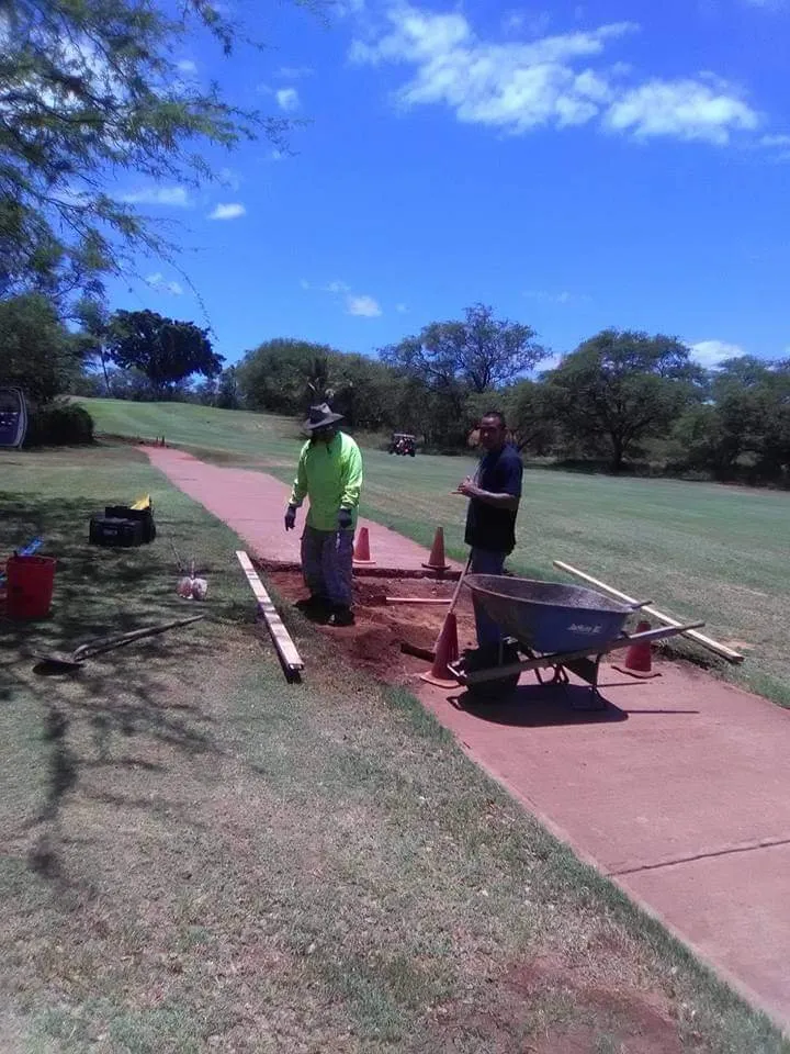 Custom yard cleanup service for year-round maintenance across Makawao, HI - Friendly Tree & Landscaping Services