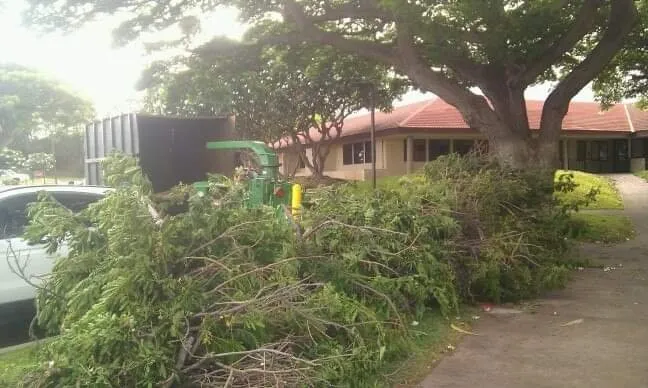 Local lawn mowing service experts serving Makawao, HI - Friendly Tree & Landscaping Services