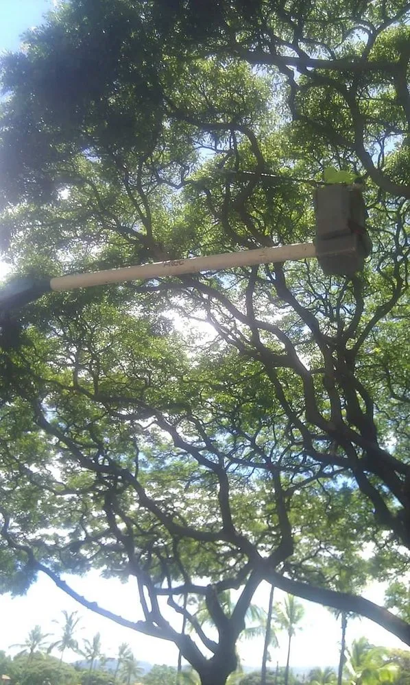 Reliable garden landscaping in Makawao, HI - Friendly Tree & Landscaping Services