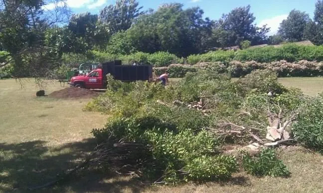 Local yard maintenance experts serving Makawao, HI - Friendly Tree & Landscaping Services