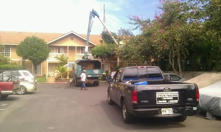 Expert lawn mowing service experts serving Makawao, HI - Friendly Tree & Landscaping Services