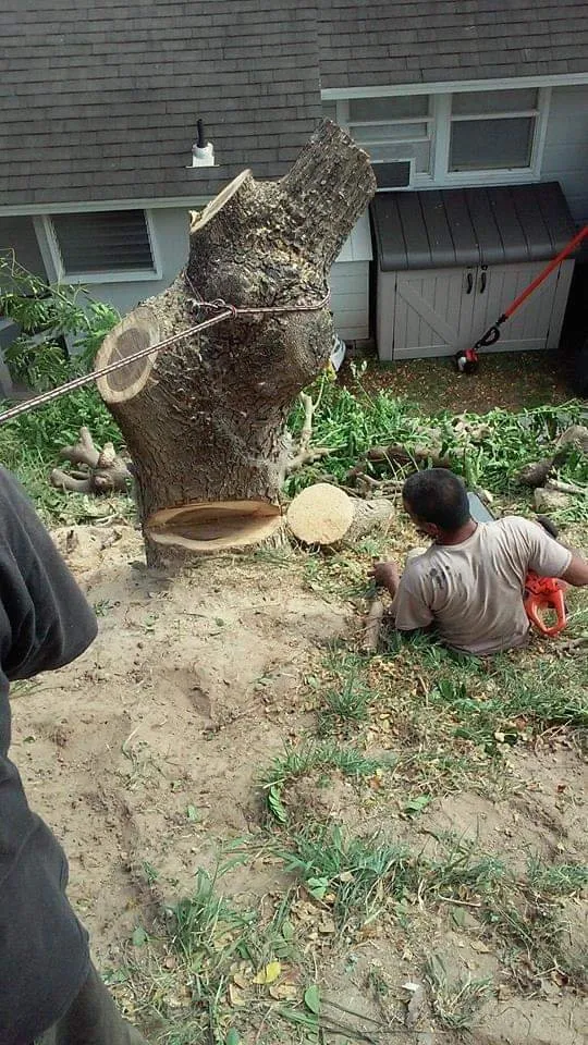 Affordable outdoor landscaping for year-round maintenance in Makawao, HI by Friendly Tree & Landscaping Services