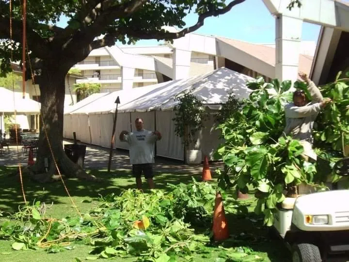 Top-rated lawn mowing service experts serving Makawao, HI - Friendly Tree & Landscaping Services