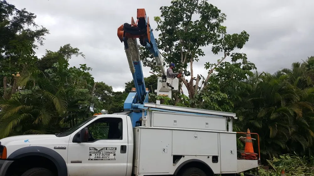 Top-rated outdoor landscaping in Makawao, HI by Friendly Tree Service of Maui