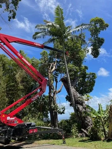 Top-rated lawn mowing service in Makawao, HI by Friendly Tree Service of Maui