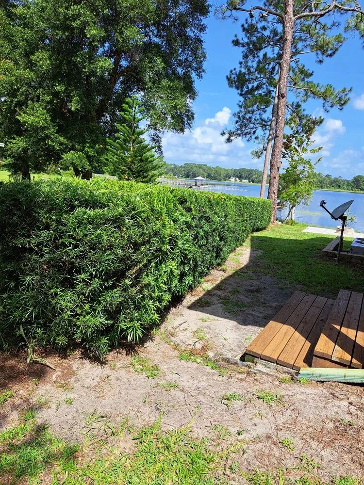 Reliable yard cleanup service for residential properties across Fruitland, FL - Friendly's Lawn service