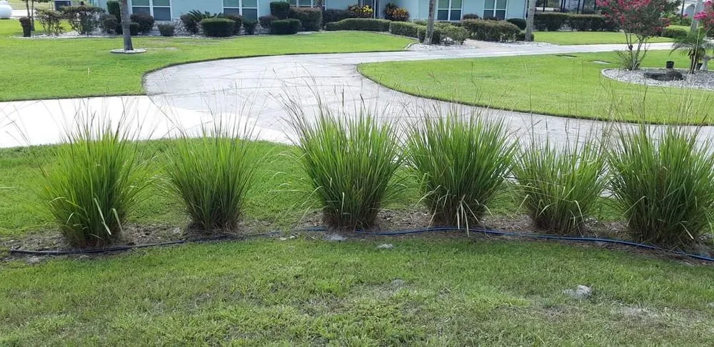 Custom landscape design in Fruitland, FL by Friendly's Lawn service