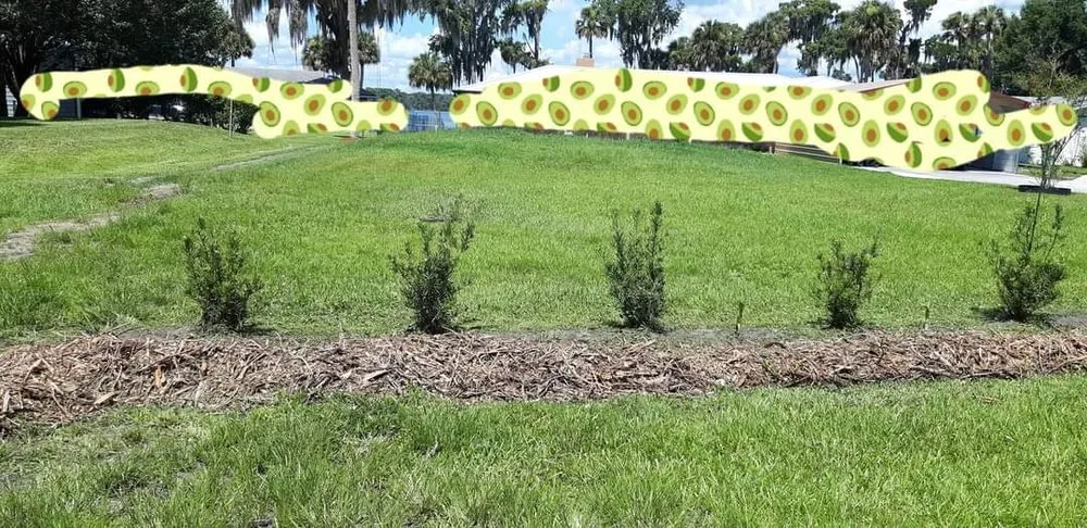 Top-rated residential landscaping experts serving Fruitland, FL - Friendly's Lawn service