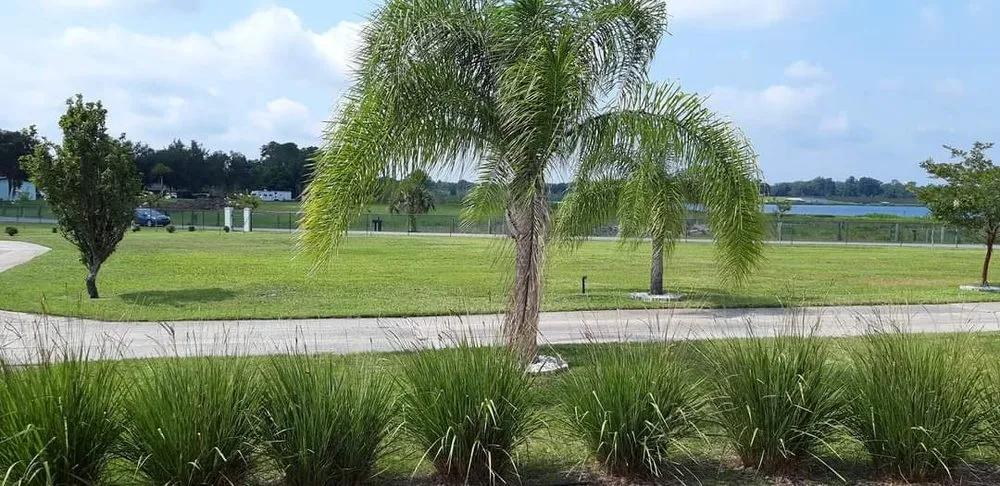 Trusted landscape design experts serving Fruitland, FL - Friendly's Lawn service