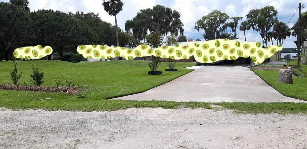Reliable landscape installation for outdoor upgrades across Fruitland, FL - Friendly's Lawn service