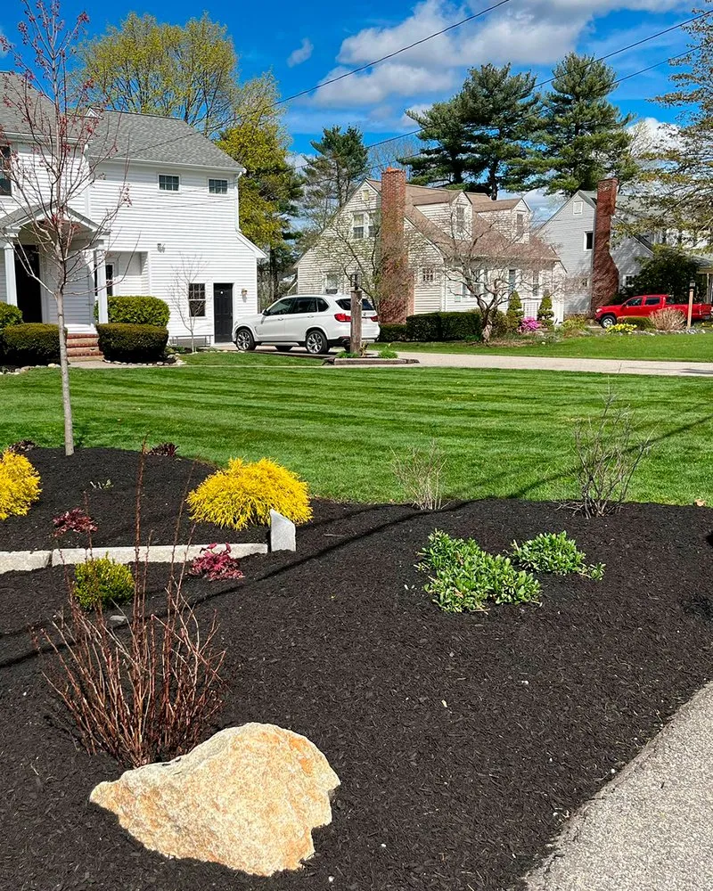 Affordable landscape installation in Abington, MA by Friends Landscaping