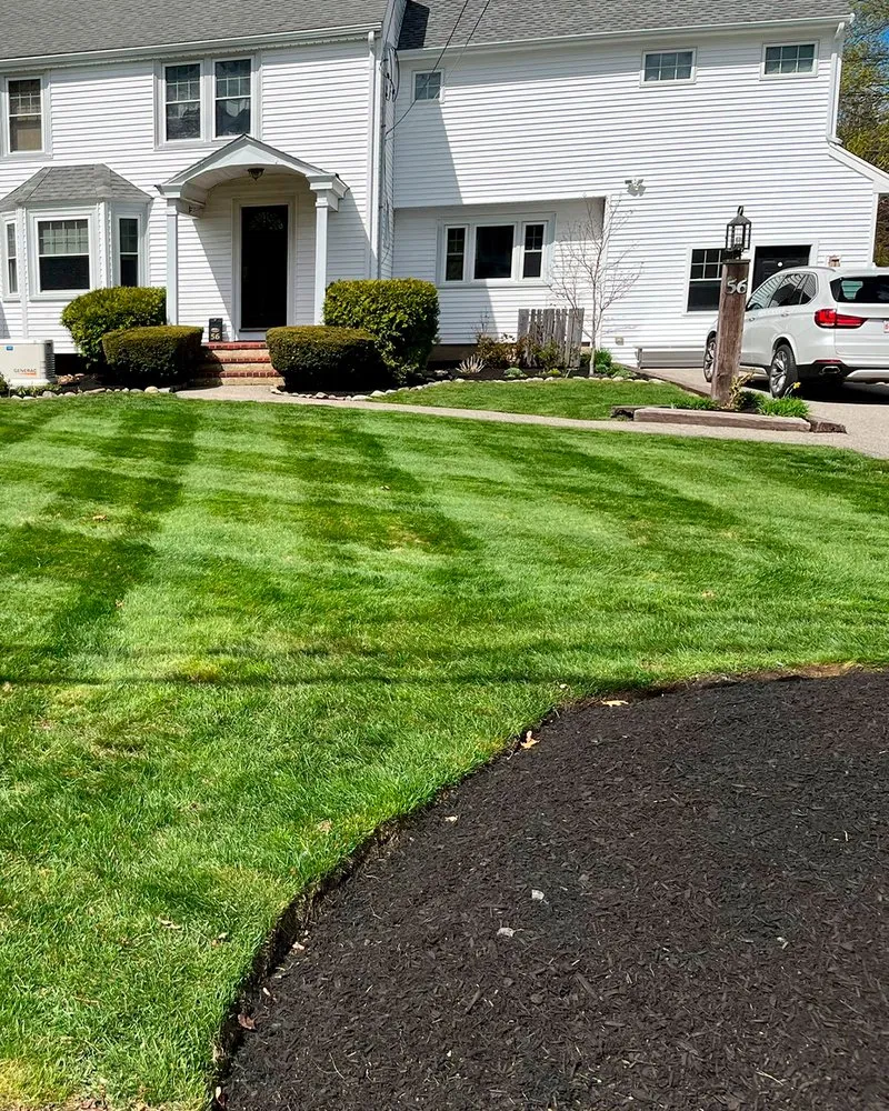 Local garden landscaping for year-round maintenance in Abington, MA by Friends Landscaping