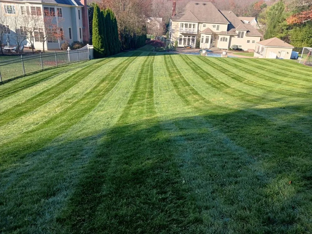 Professional yard maintenance experts serving Abington, MA - Friends Landscaping