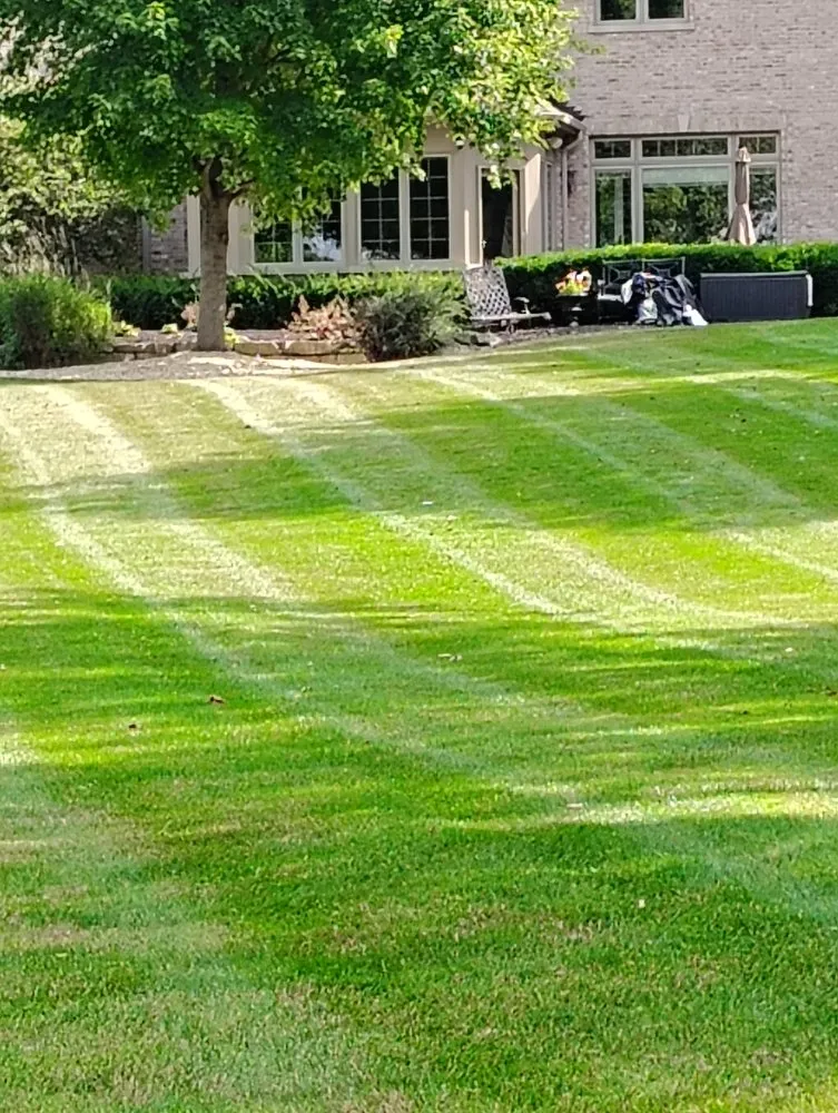 Local landscaping services for beautiful yards in Carpentersville, IL by Friends landscaping
