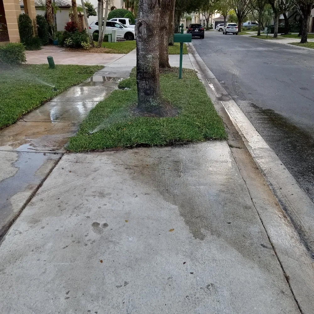 Reliable outdoor landscaping in Miami, FL - Friends Lawn Service