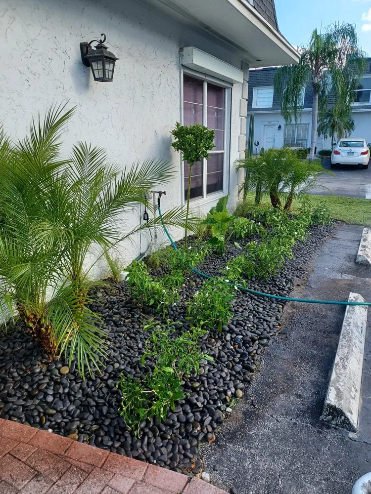 Expert landscape installation in Miami, FL - Friends Lawn Service
