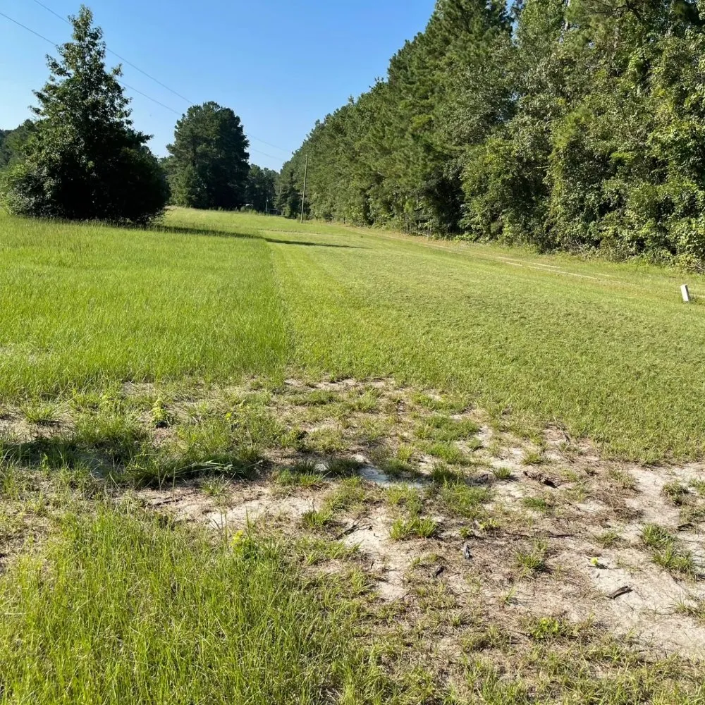 Top-rated outdoor landscaping experts serving Burgaw, NC - Friends Lopez Landscaping