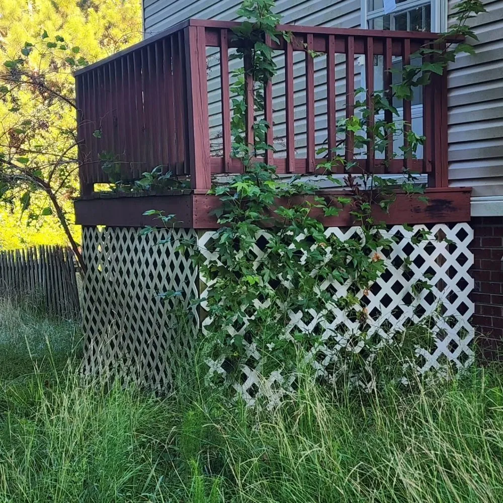 Professional lawn mowing service for outdoor upgrades in Burgaw, NC by Friends Lopez Landscaping