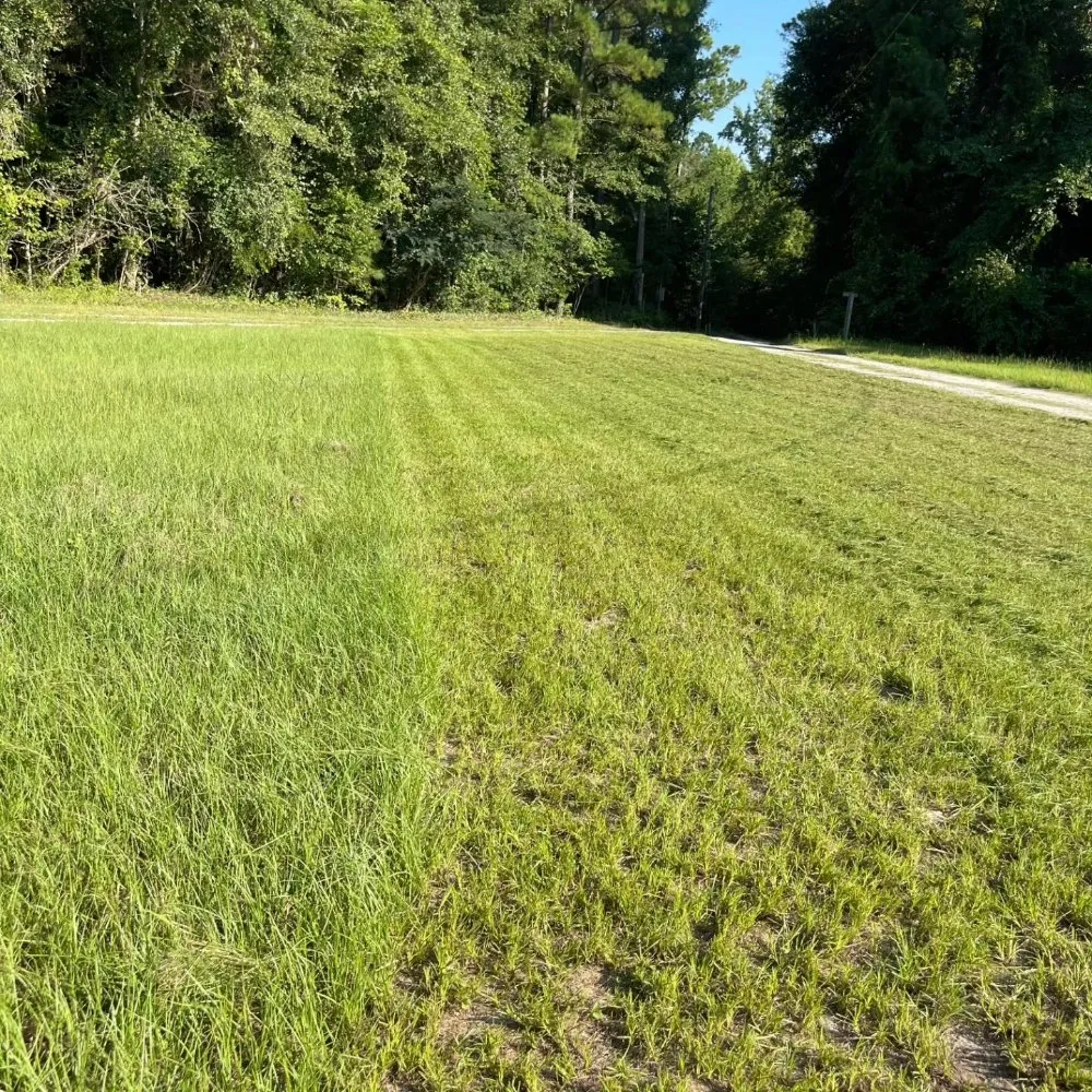 Top-rated lawn care service for residential properties in Burgaw, NC by Friends Lopez Landscaping