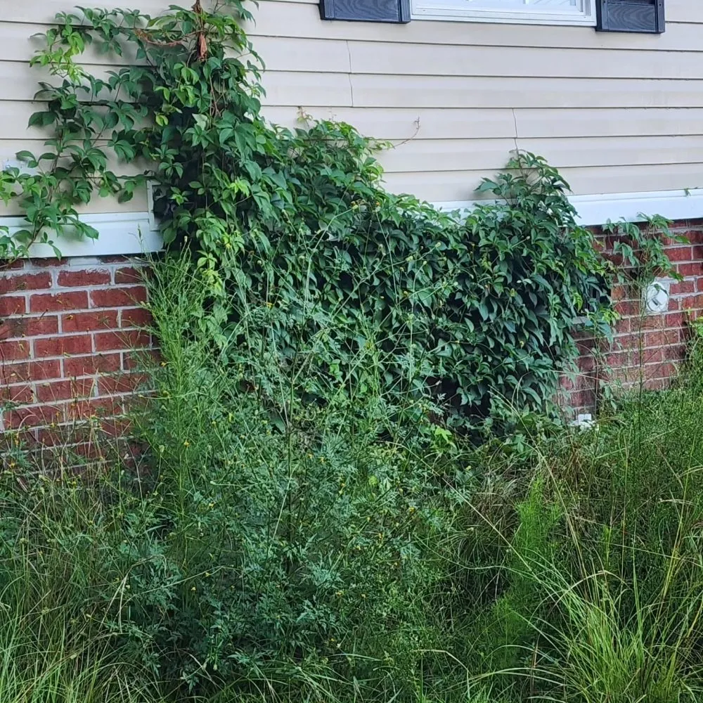 Trusted yard maintenance for outdoor upgrades across Burgaw, NC - Friends Lopez Landscaping