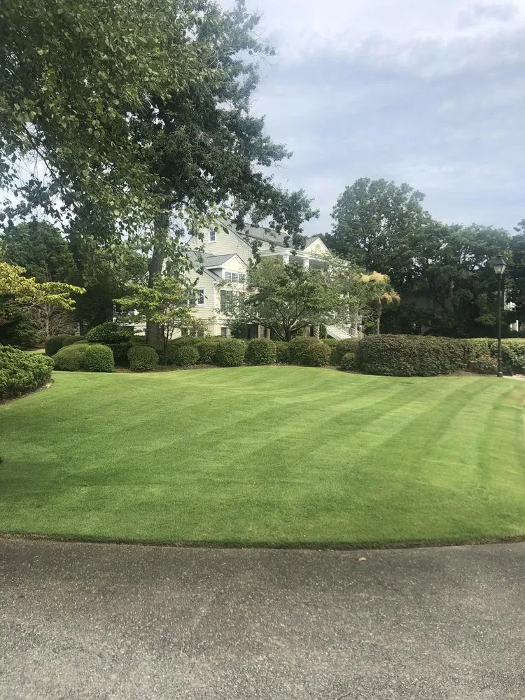 Trusted residential landscaping near you in Burgaw, NC by Friends Lopez Landscaping