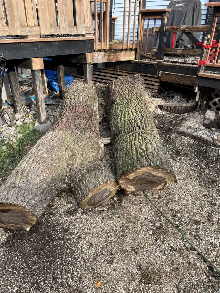 Custom landscape design in Morristown, NJ - Friends