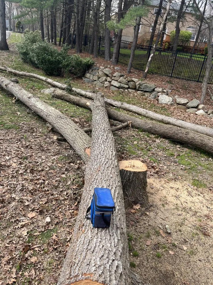 Trusted residential landscaping in Morristown, NJ - Friends