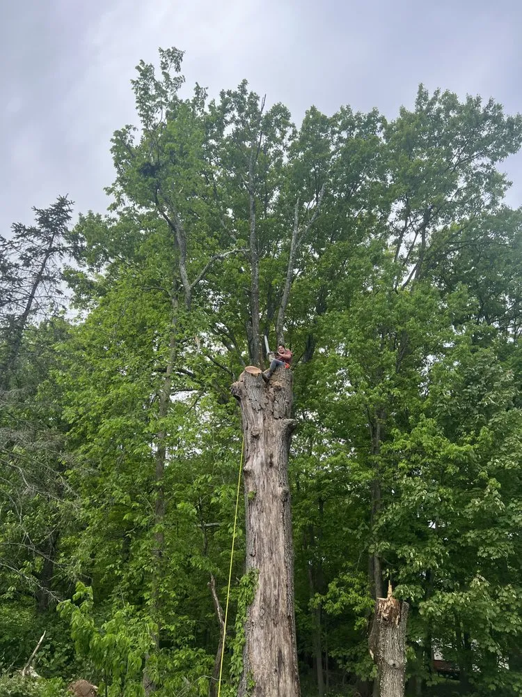 Local lawn mowing service for beautiful yards across Morristown, NJ - Friends