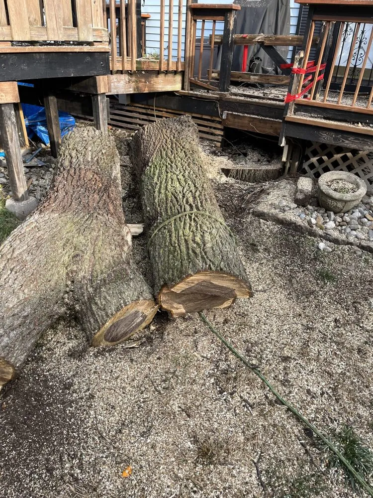 Trusted yard maintenance in Morristown, NJ by Friends