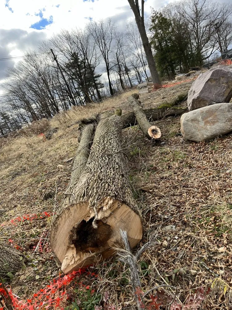 Top-rated landscaping services in Morristown, NJ by Friends