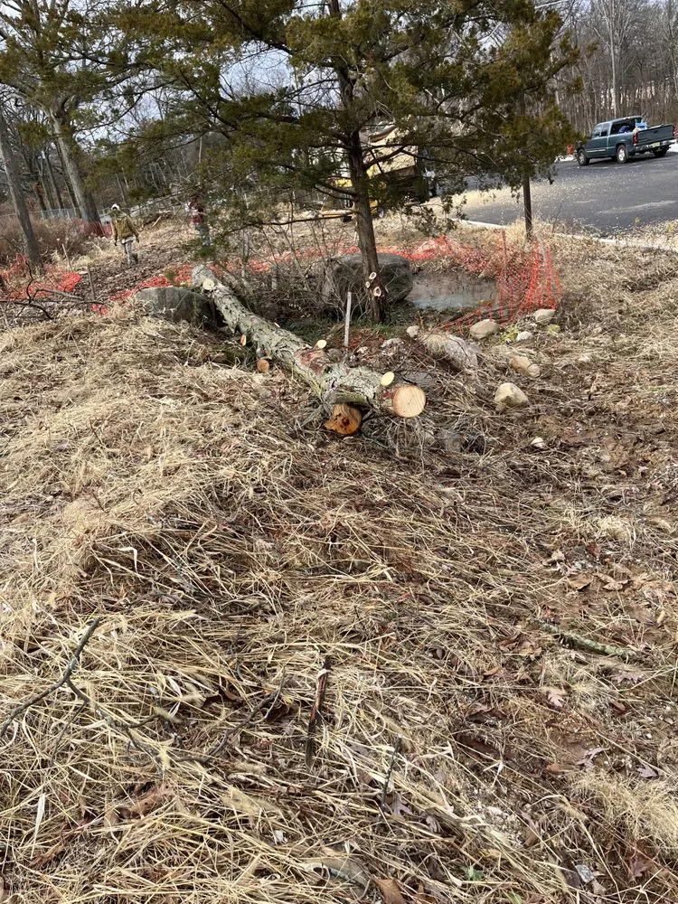 Custom outdoor landscaping with custom design in Morristown, NJ by Friends