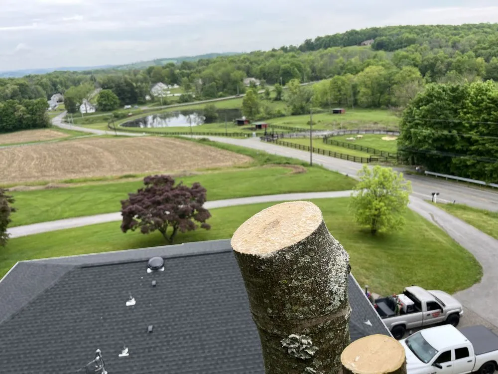 Top-rated lawn mowing service for homes across Morristown, NJ - Friends