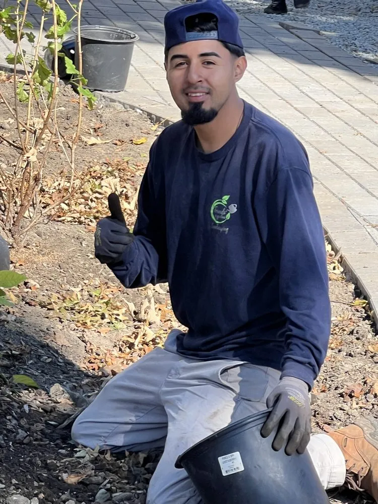 Custom landscape installation for homes in Revere, MA by Friends of Gardens Landscaping