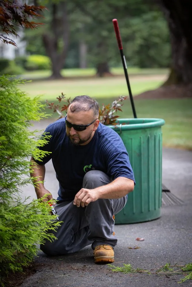 Top-rated lawn care service in Revere, MA by Friends of Gardens Landscaping