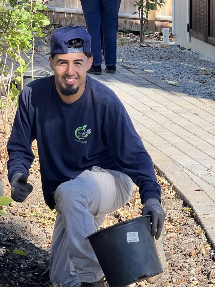 Top-rated yard cleanup service experts serving Revere, MA - Friends of Gardens Landscaping