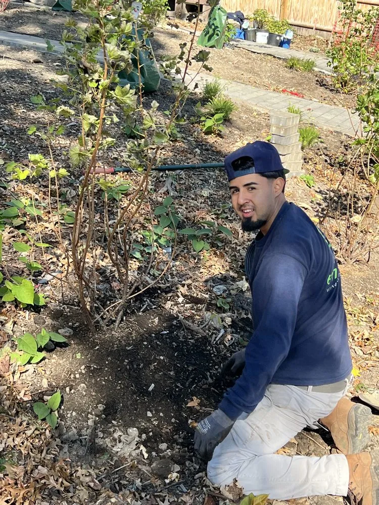 Top-rated yard cleanup service for homes in Revere, MA by Friends of Gardens Landscaping