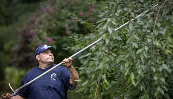 Friends of Gardens Landscaping Logo
