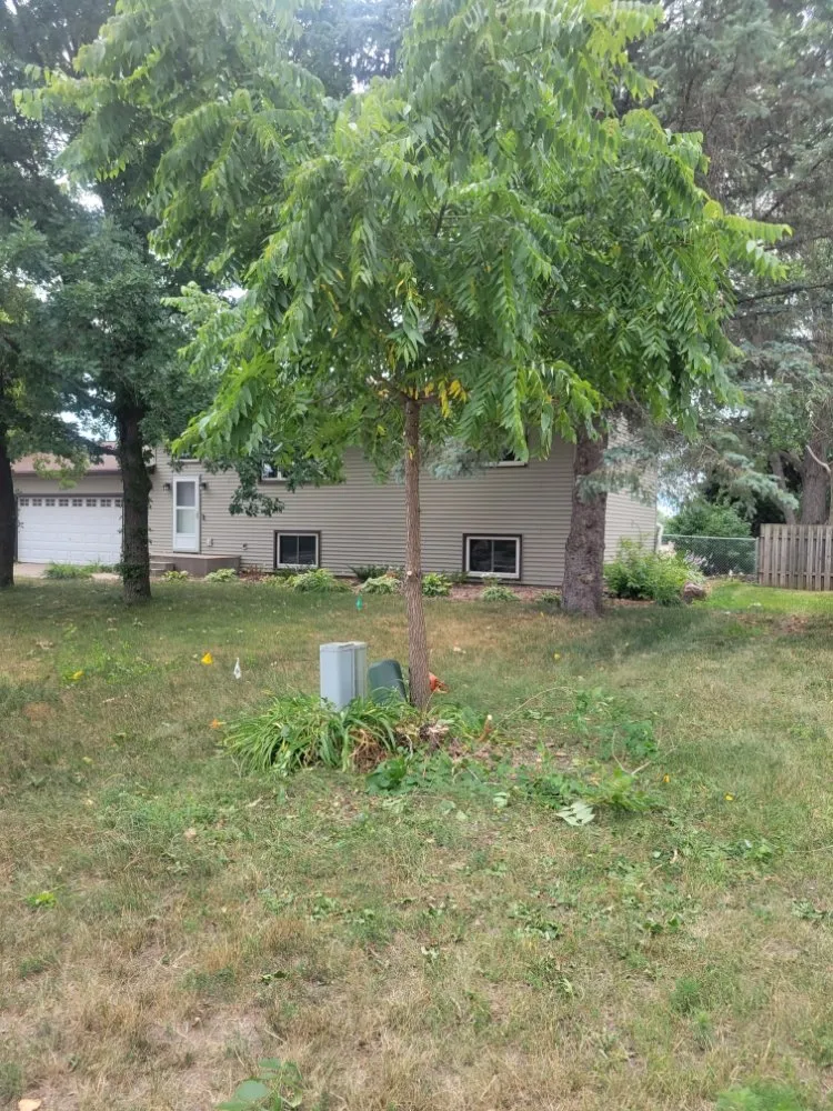 Expert yard cleanup service for year-round maintenance across Jordan, MN - Friendshuh Lawn and Snow