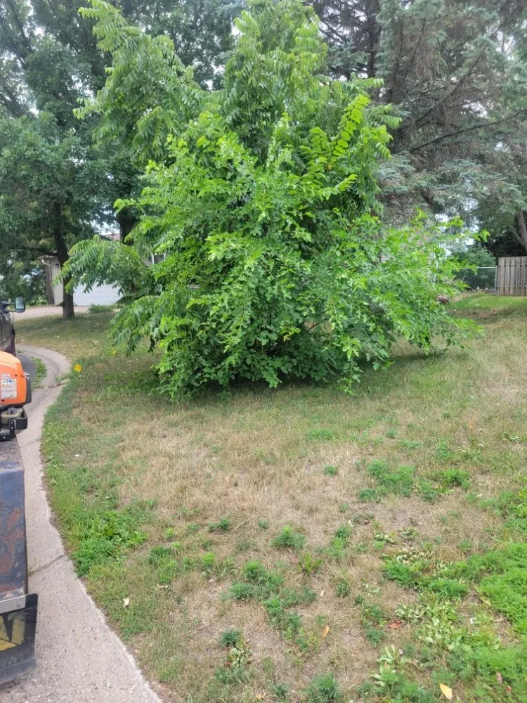 Top-rated landscape installation experts serving Jordan, MN - Friendshuh Lawn and Snow