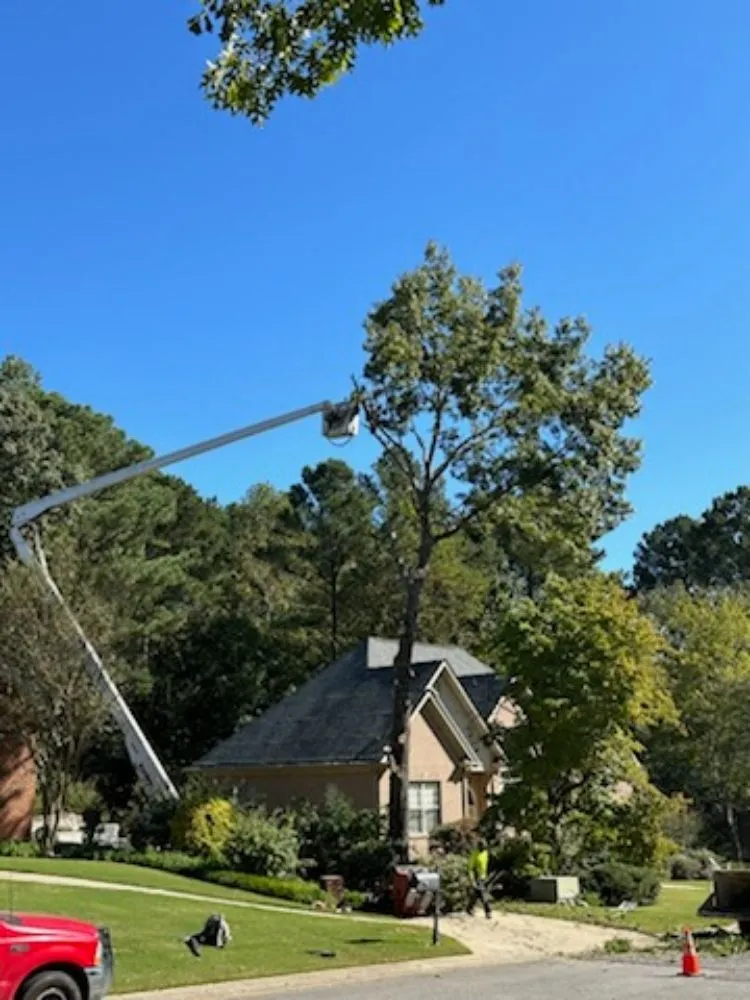 Expert lawn mowing service in Irondale, AL - Frierson Lawn & Tree Service