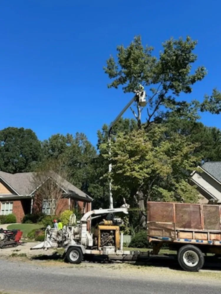 Custom lawn care service with custom design across Irondale, AL - Frierson Lawn & Tree Service