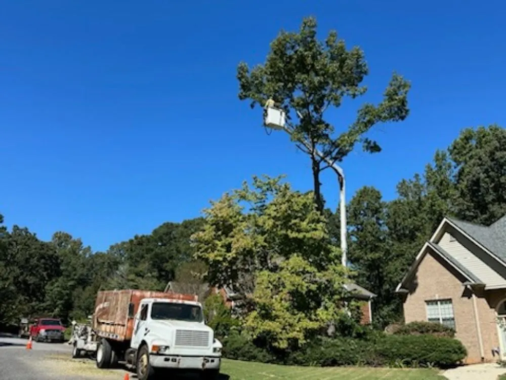 Expert yard cleanup service experts serving Irondale, AL - Frierson Lawn & Tree Service