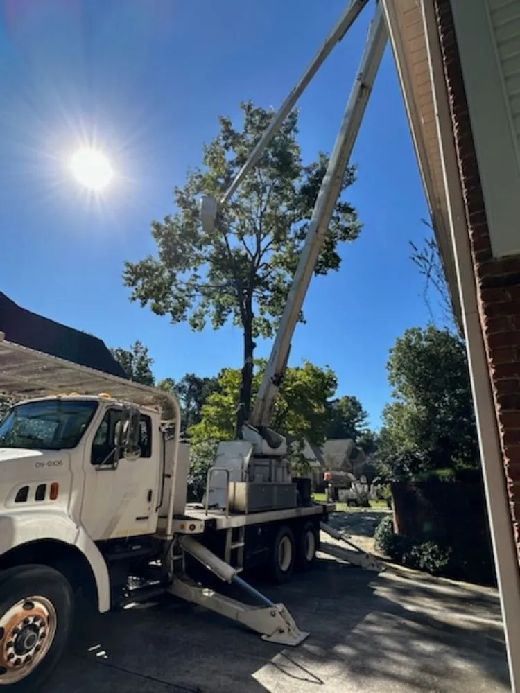 Reliable landscape design for homes across Irondale, AL - Frierson Lawn & Tree Service