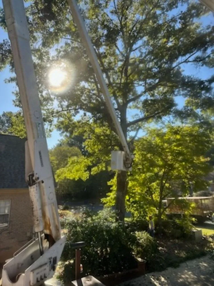 Trusted landscaping services experts serving Irondale, AL - Frierson Lawn & Tree Service