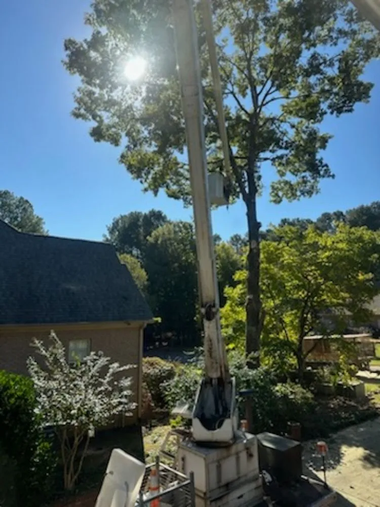 Top-rated outdoor landscaping for outdoor upgrades across Irondale, AL - Frierson Lawn & Tree Service