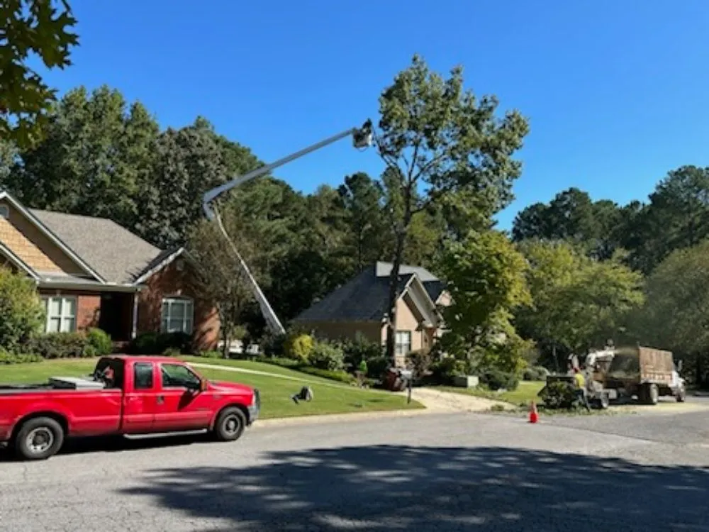 Local yard maintenance in Irondale, AL - Frierson Lawn & Tree Service