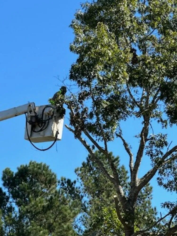 Trusted garden landscaping in Irondale, AL - Frierson Lawn & Tree Service