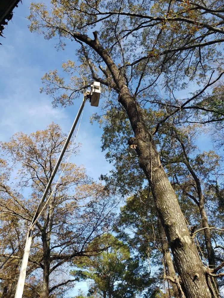 Professional garden landscaping experts serving Bessemer, AL - Frierson Tree Service