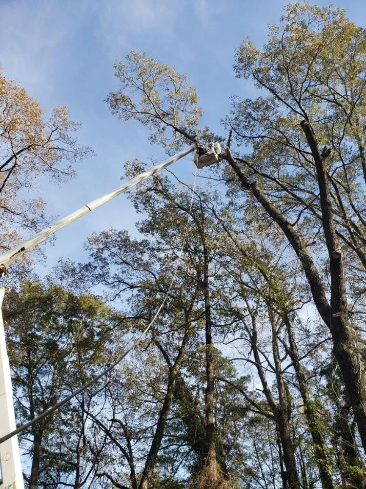 Local landscape installation in Bessemer, AL by Frierson Tree Service