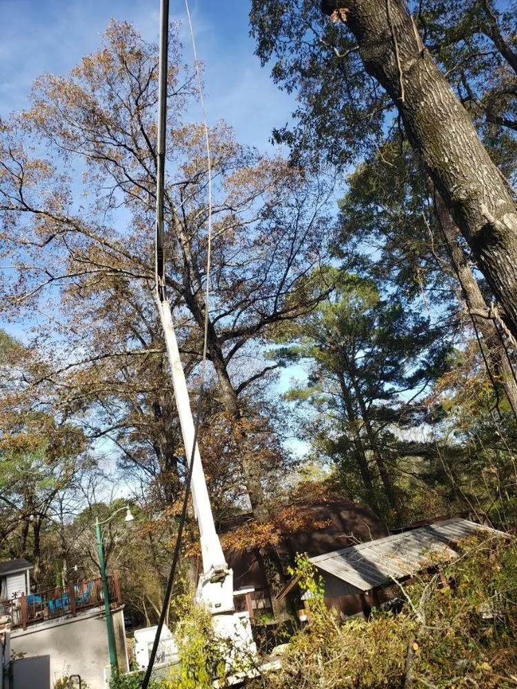 Affordable yard cleanup service in Bessemer, AL by Frierson Tree Service